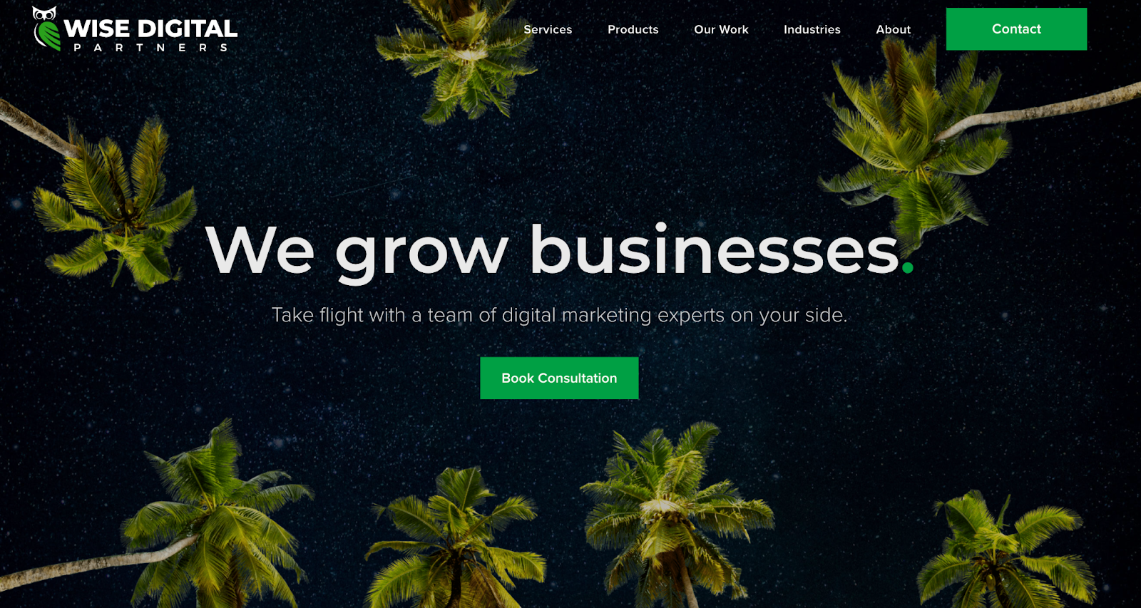WISE digital partners agency